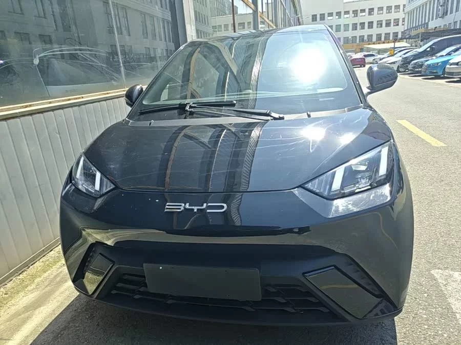 BYD Seagull