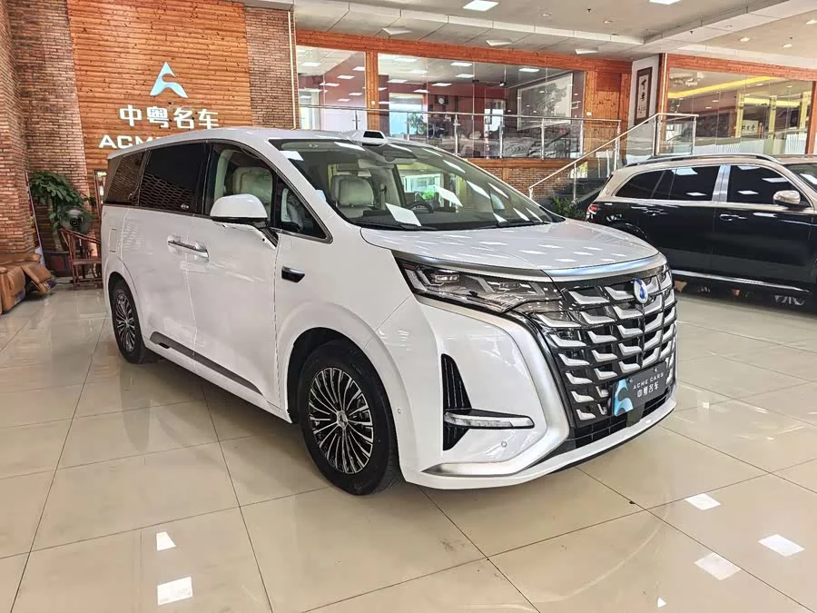 BYD D9