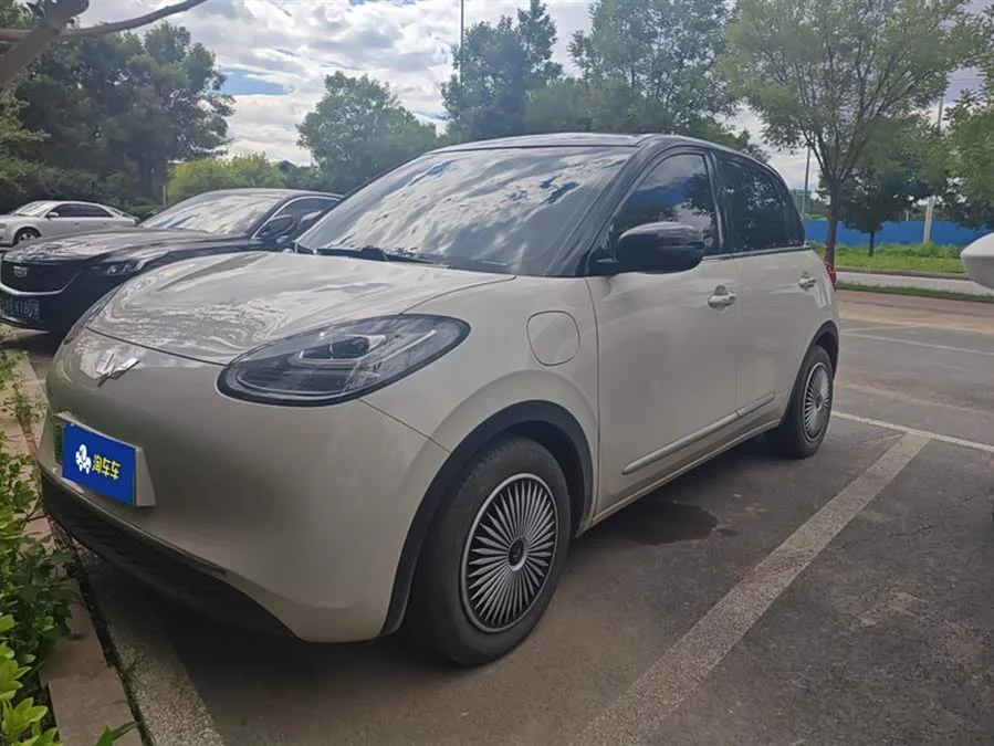 Wuling Bingo