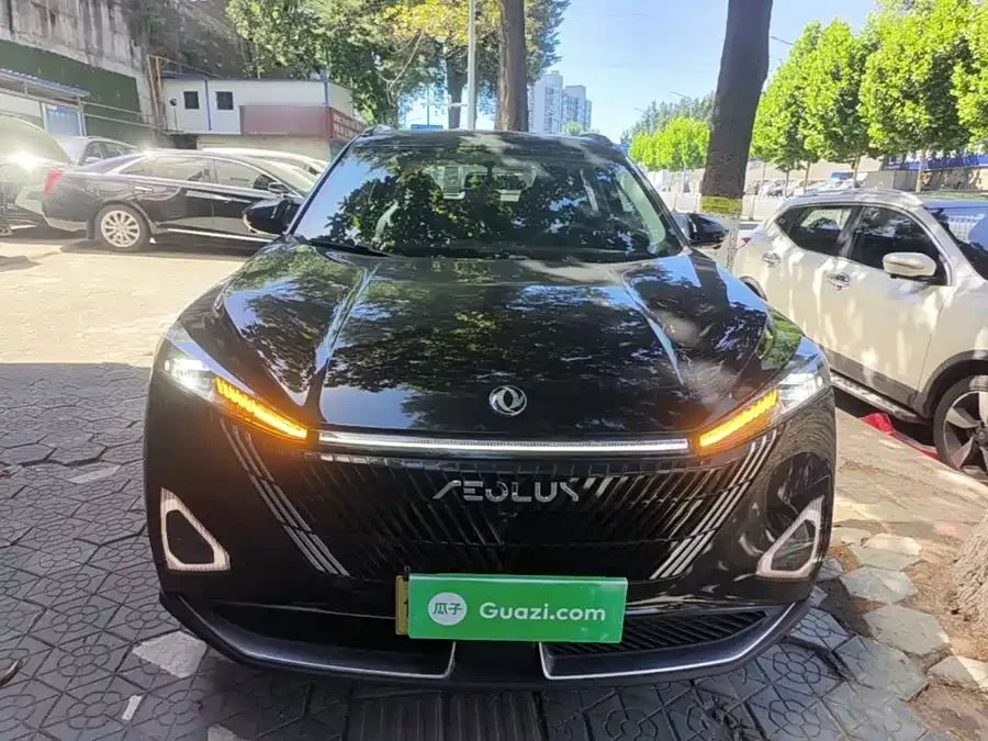 Dongfeng Haohan