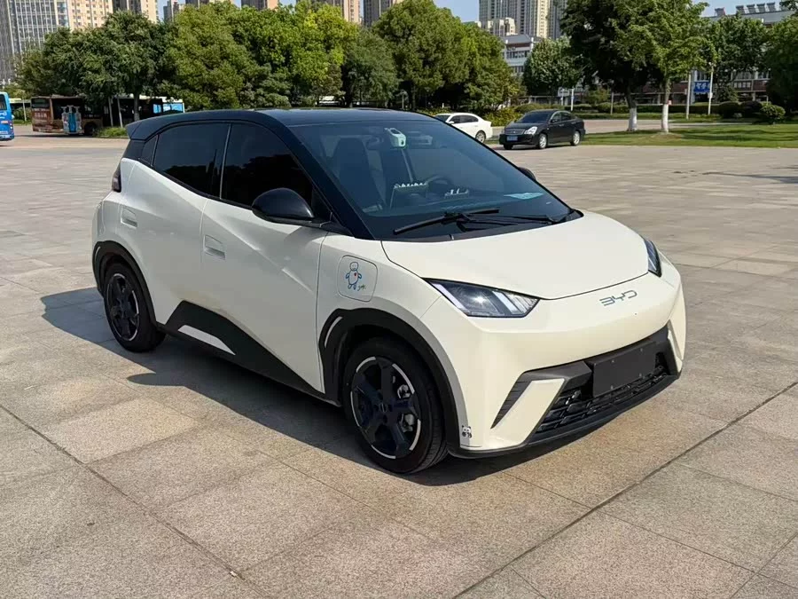 BYD Seagull