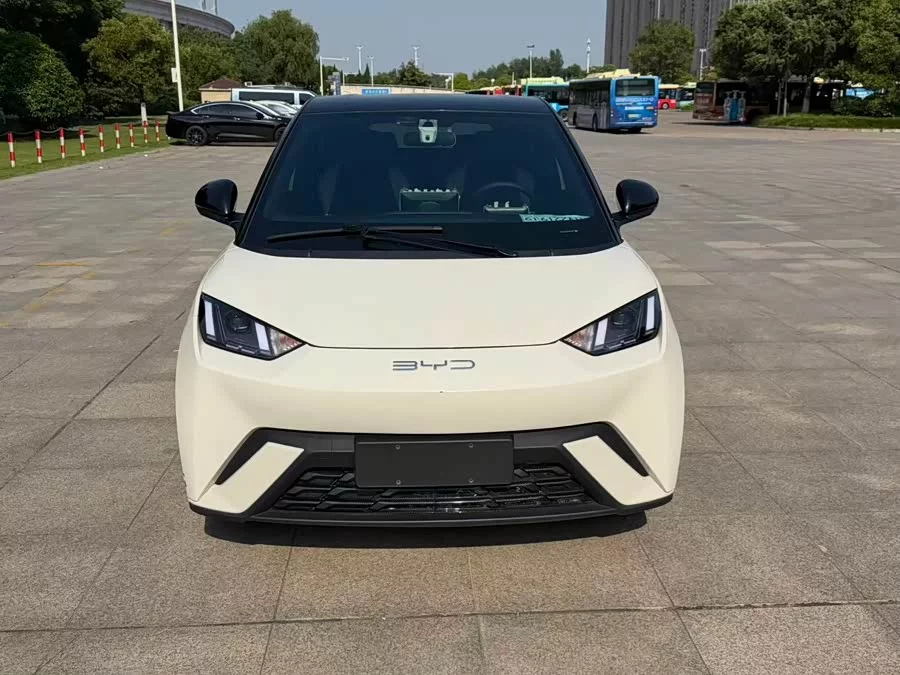 BYD Seagull