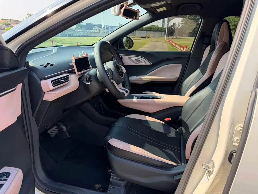 BYD Seagull