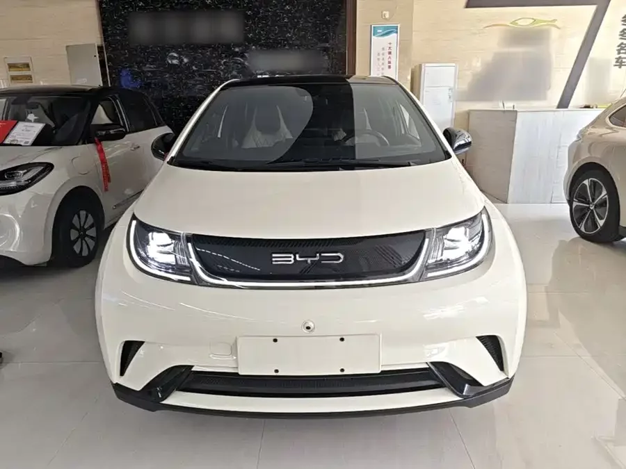 BYD Dolphin