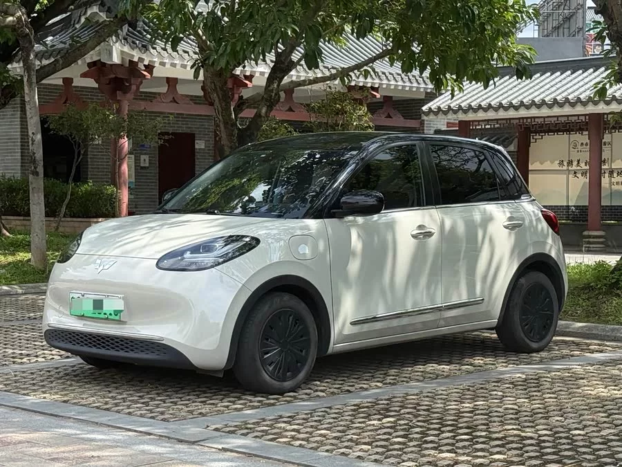Wuling Bingo