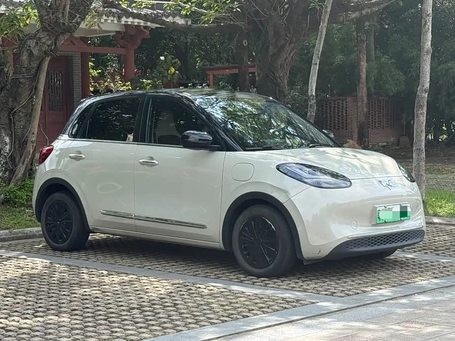 Wuling Bingo