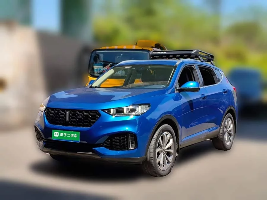 Wey VV6