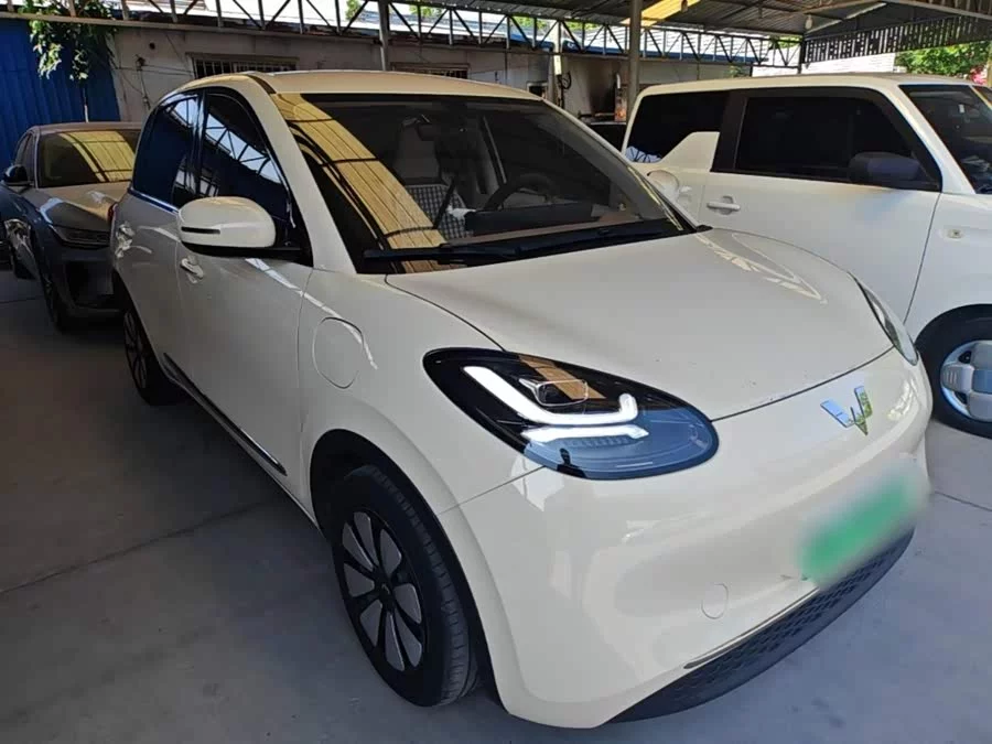 Wuling Bingo