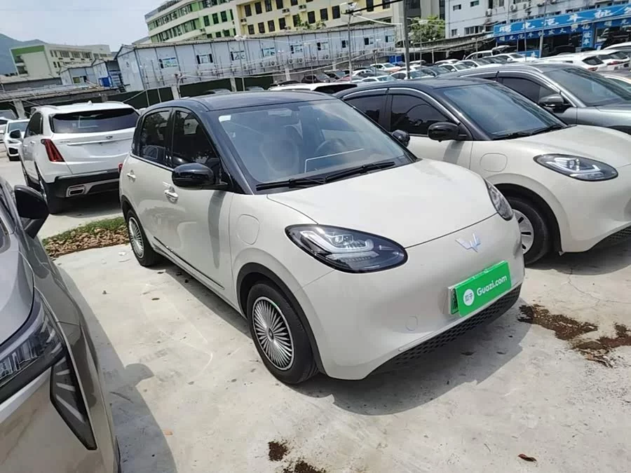 Wuling Bingo