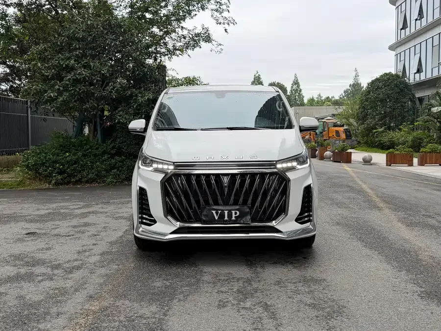 Maxus G20