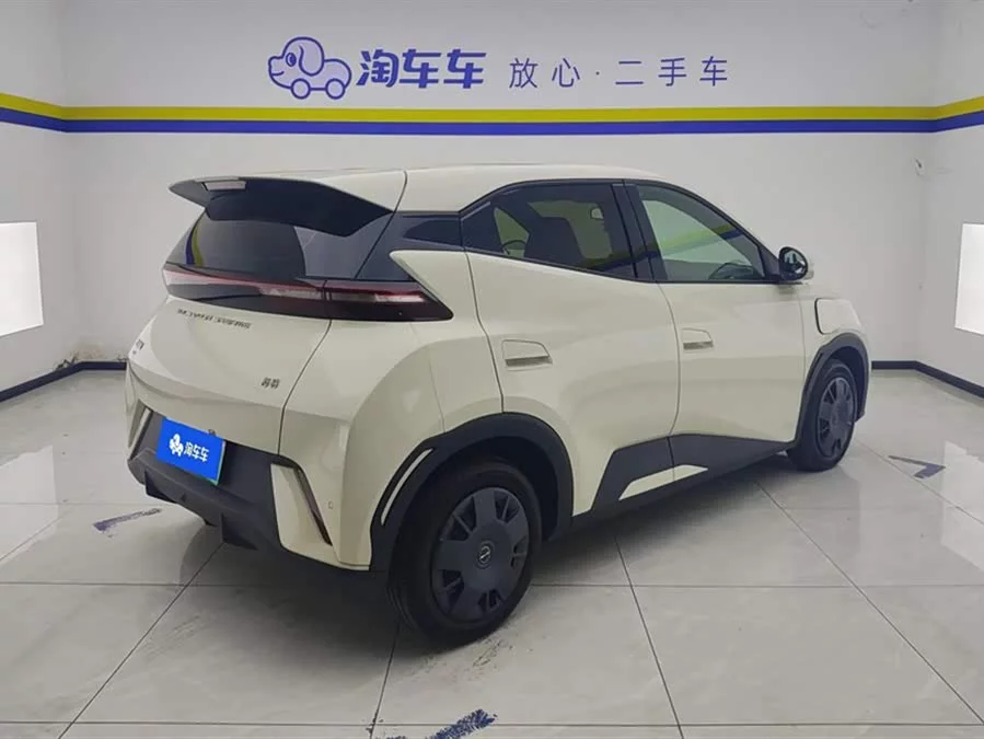 BYD Seagull
