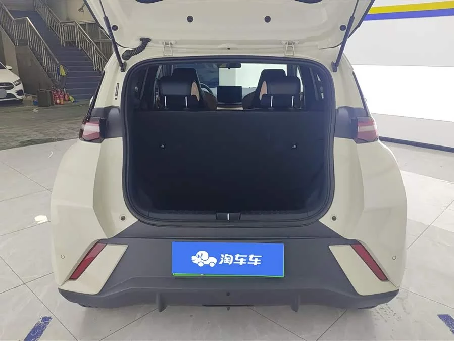 BYD Seagull
