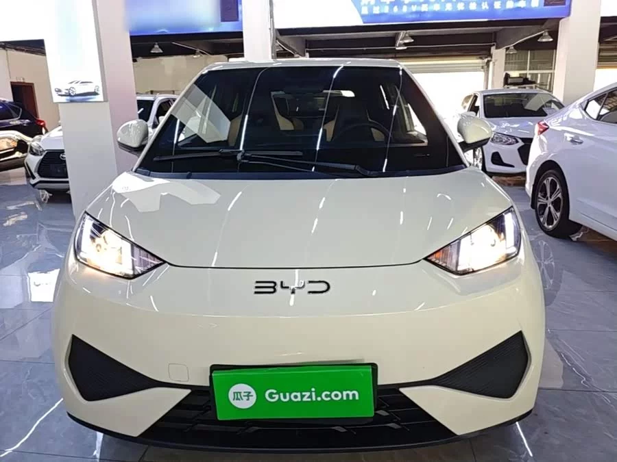 BYD Seagull