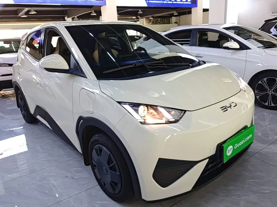 BYD Seagull