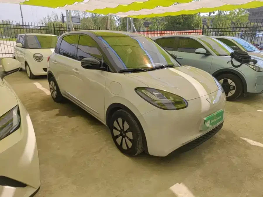 Wuling Bingo