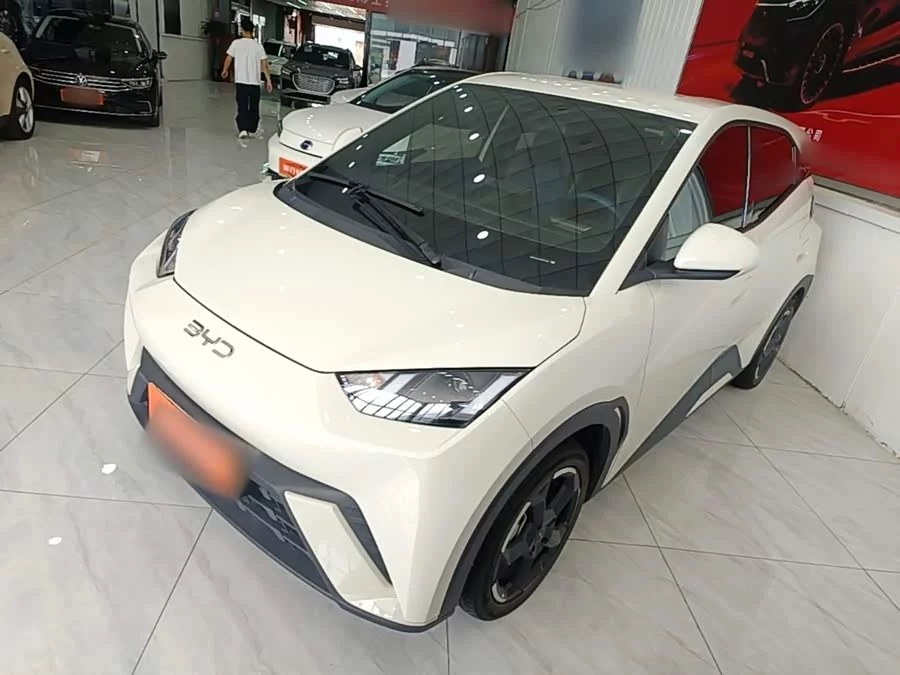 BYD Seagull