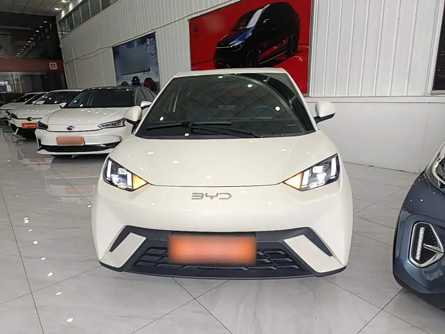 BYD Seagull