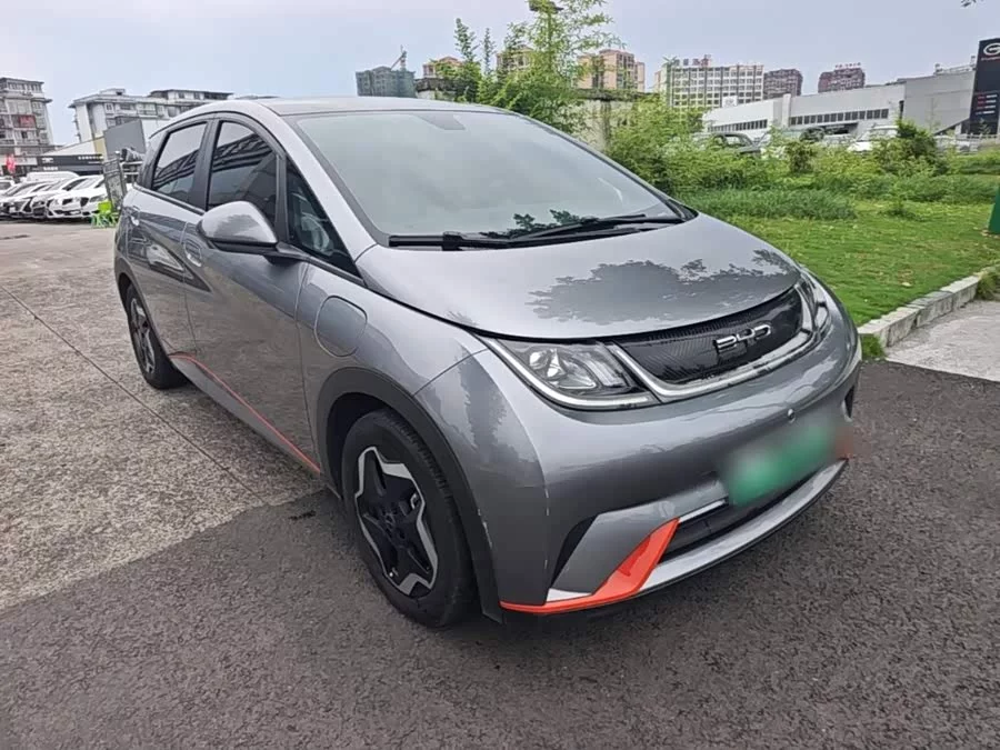 BYD Dolphin