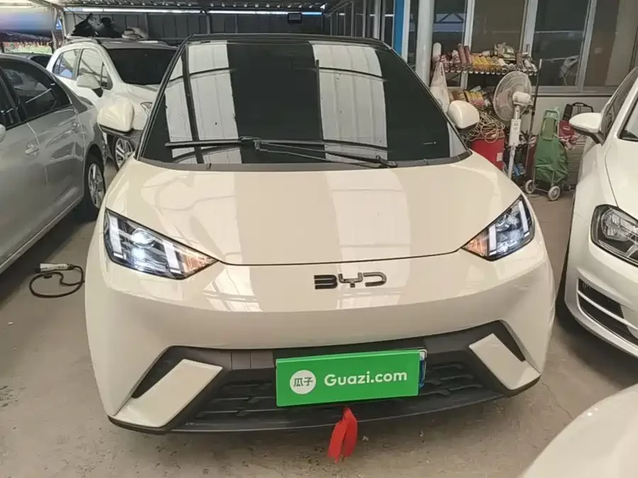 BYD Seagull