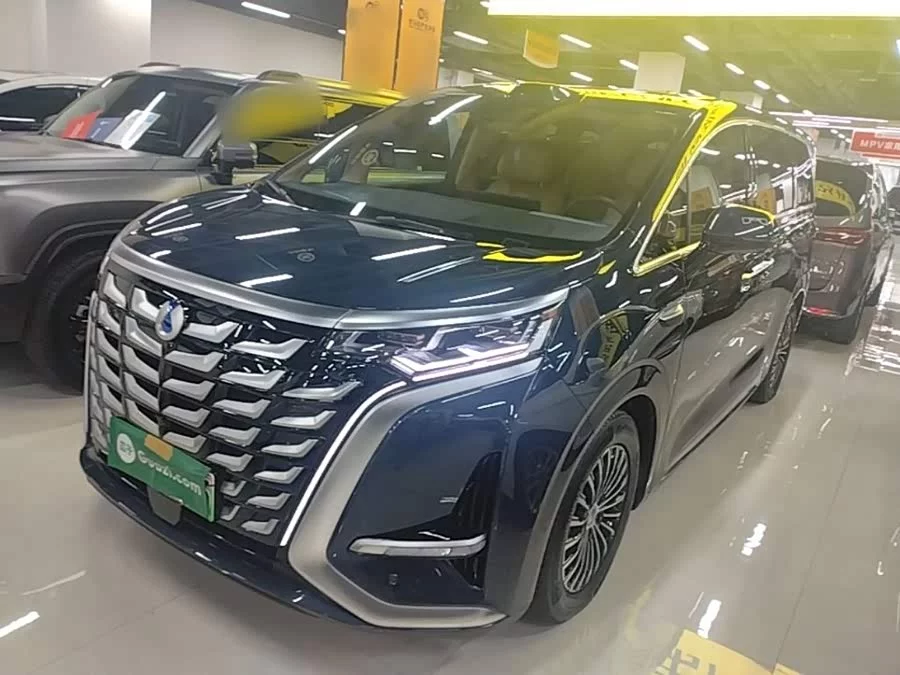 BYD D9