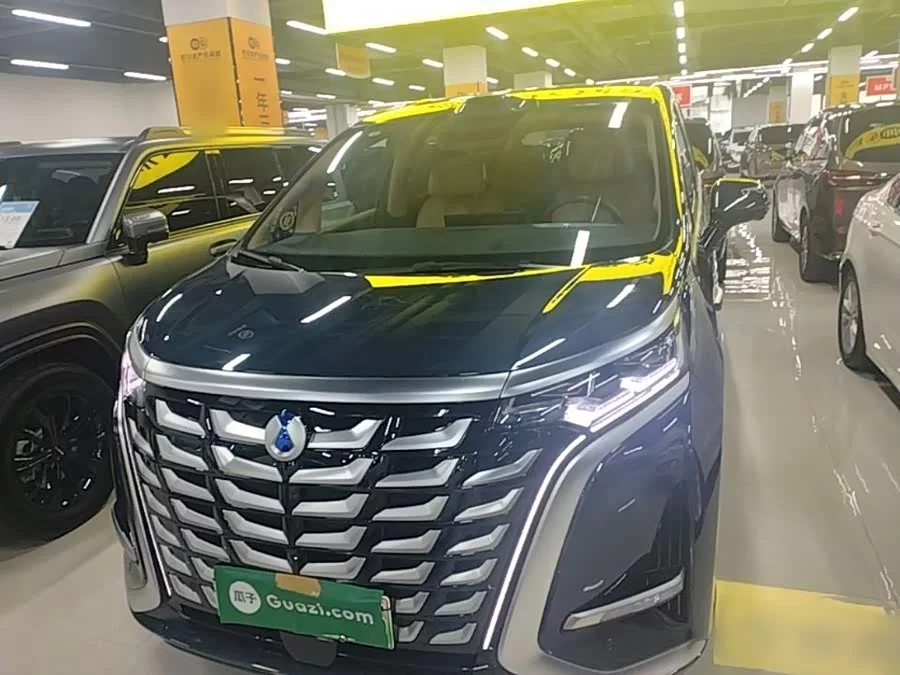 BYD D9
