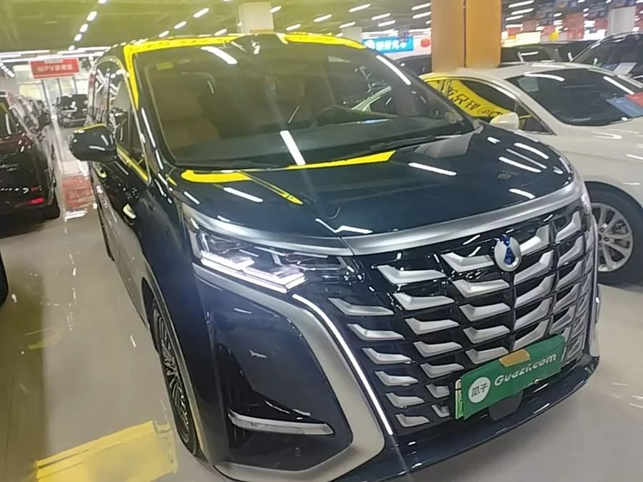 BYD D9