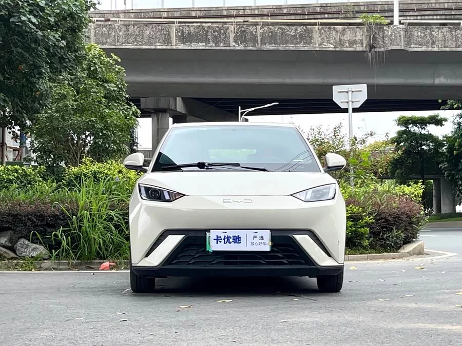 BYD Seagull