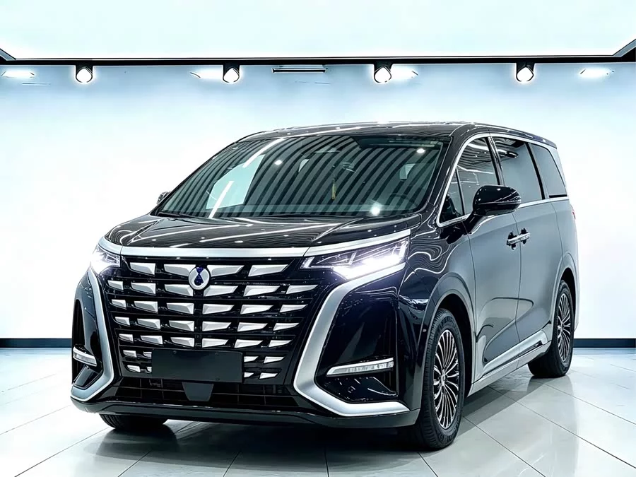 BYD D9