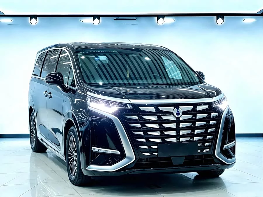 BYD D9