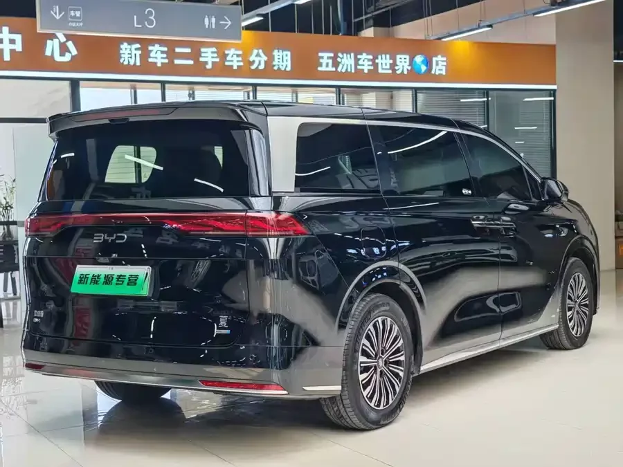 BYD summer