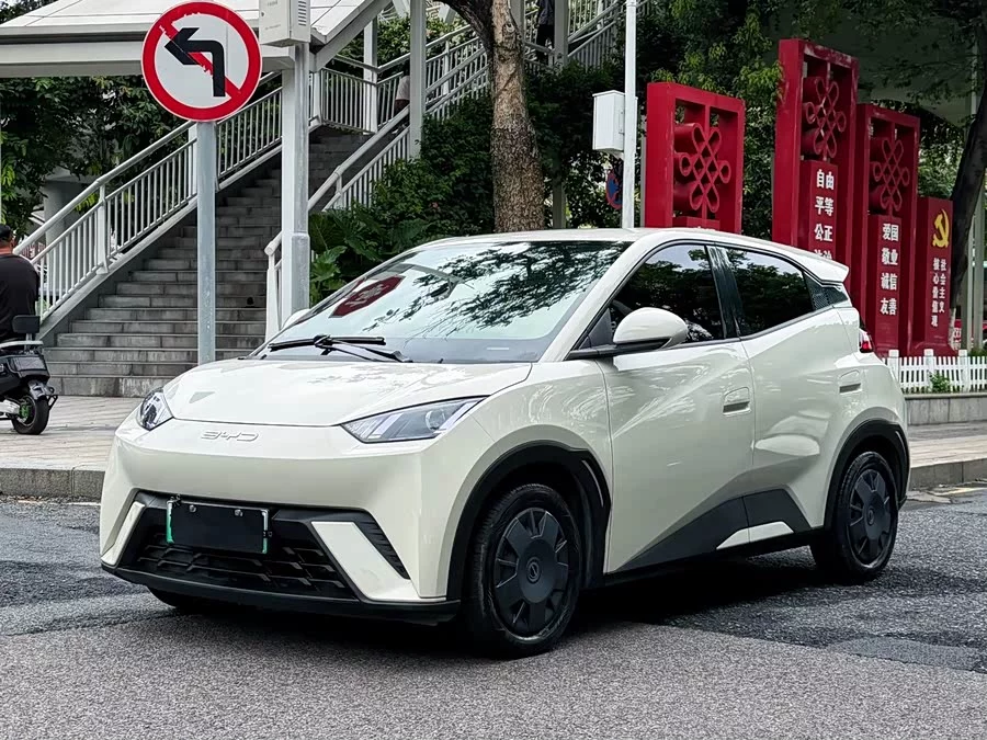 BYD Seagull