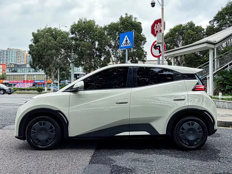 BYD Seagull