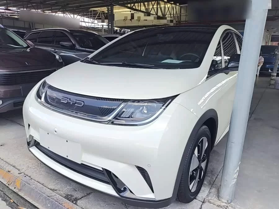 BYD Dolphin