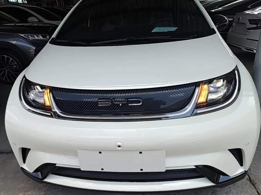 BYD Dolphin