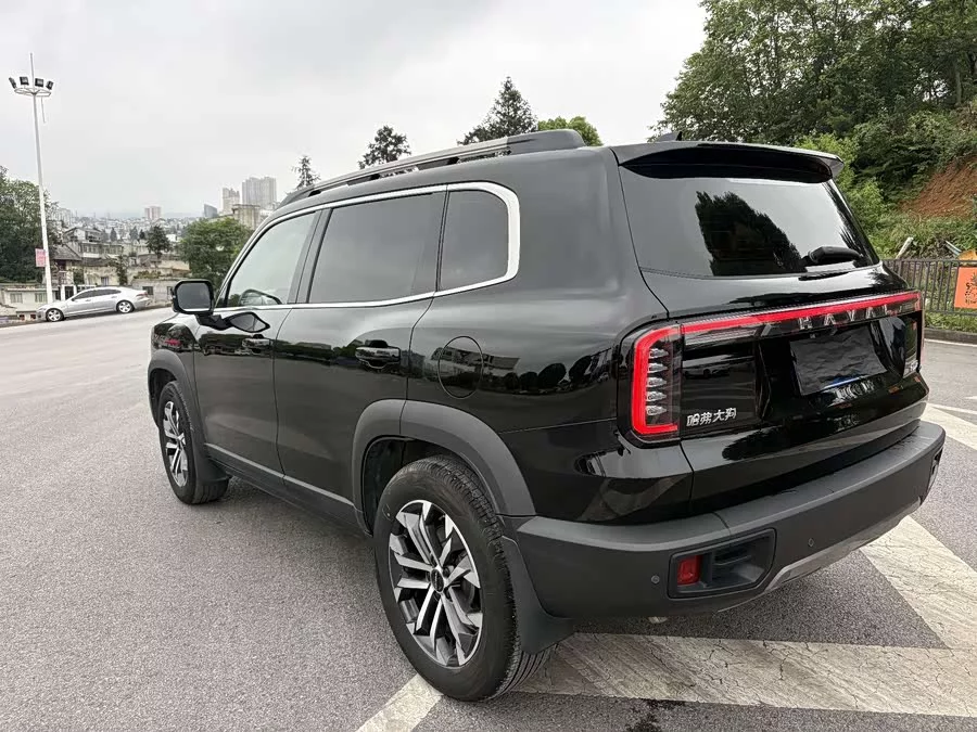 Haval Big Dog DaGou