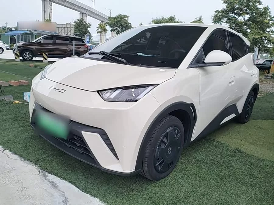 BYD Seagull