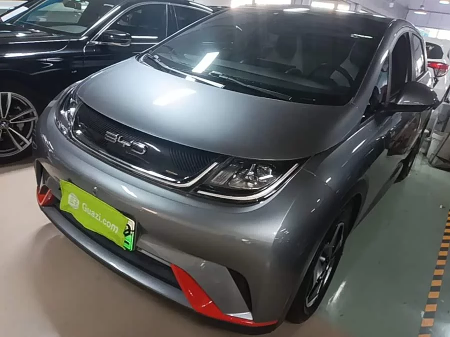 BYD Dolphin