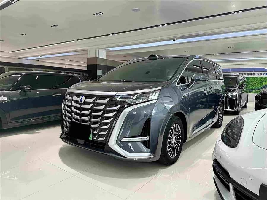 BYD D9