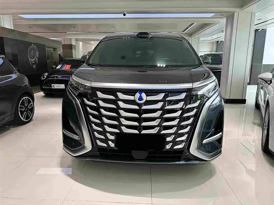 BYD D9