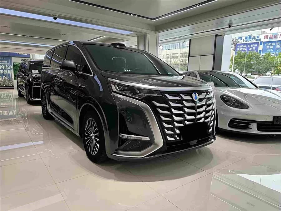 BYD D9