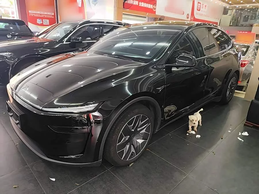 Tesla Model YL