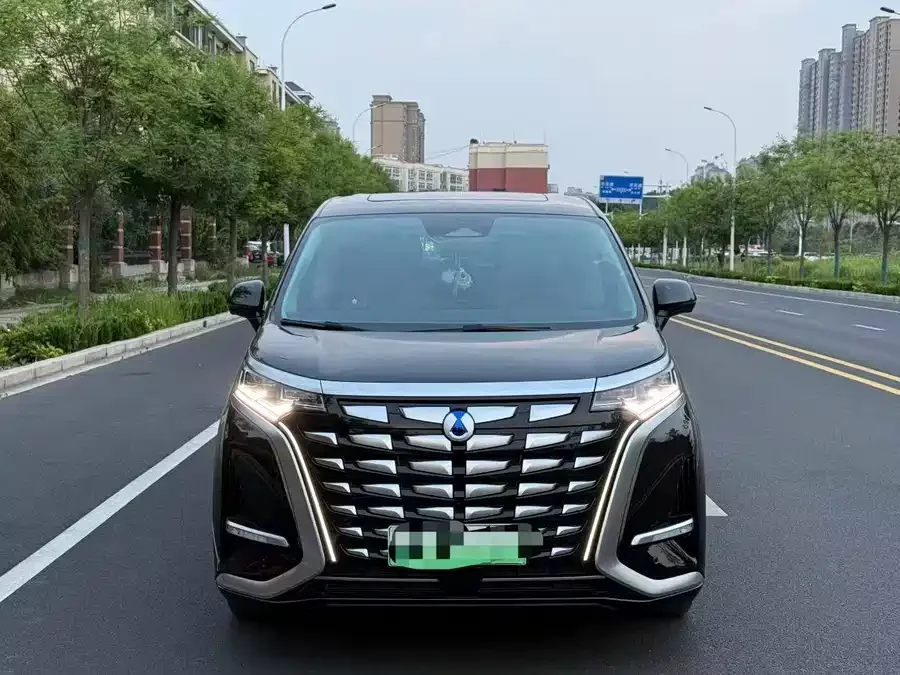 BYD D9