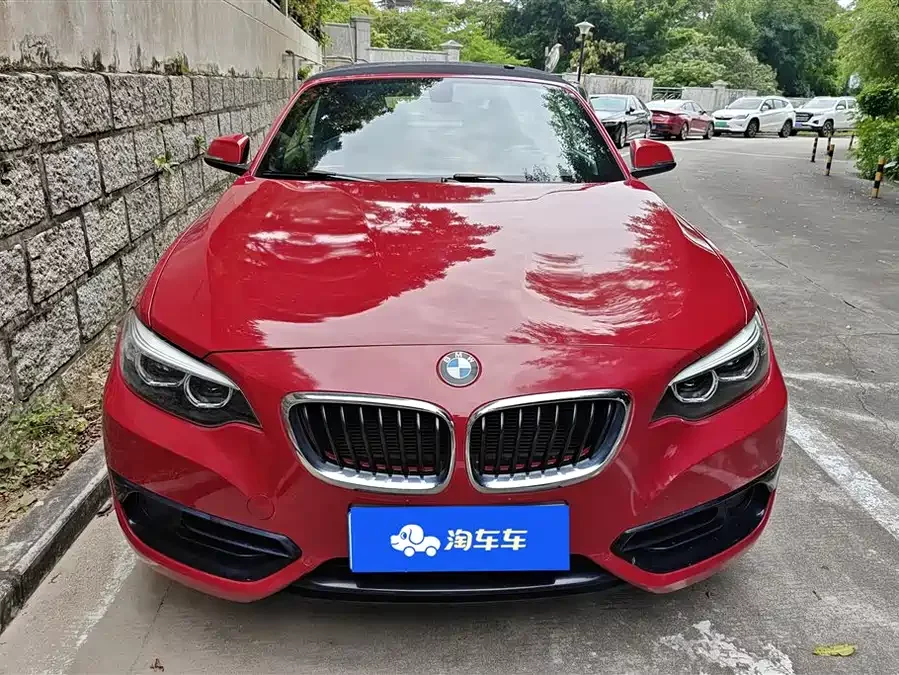BMW 2 Series