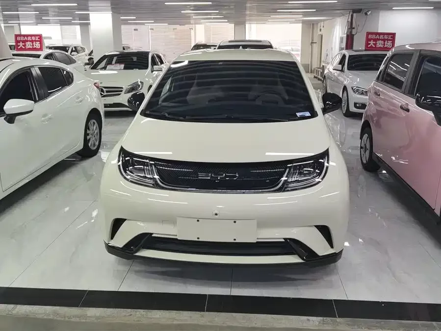 BYD Dolphin