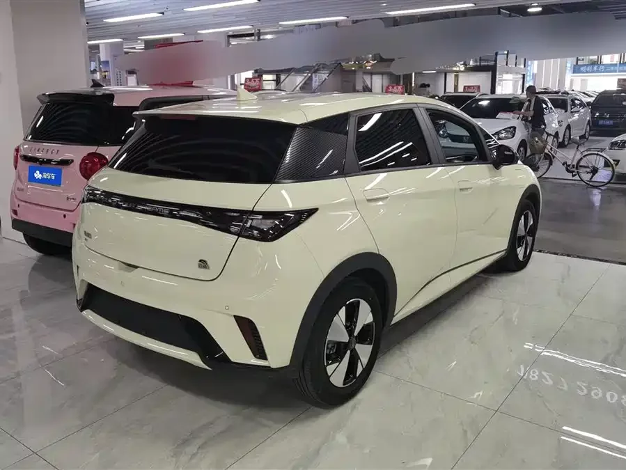 BYD Dolphin