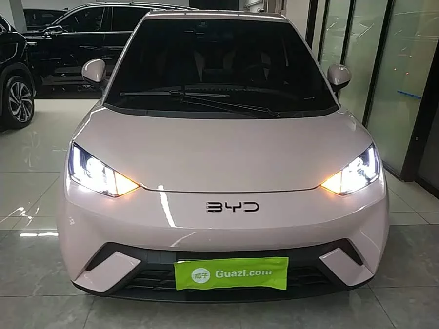 BYD Seagull
