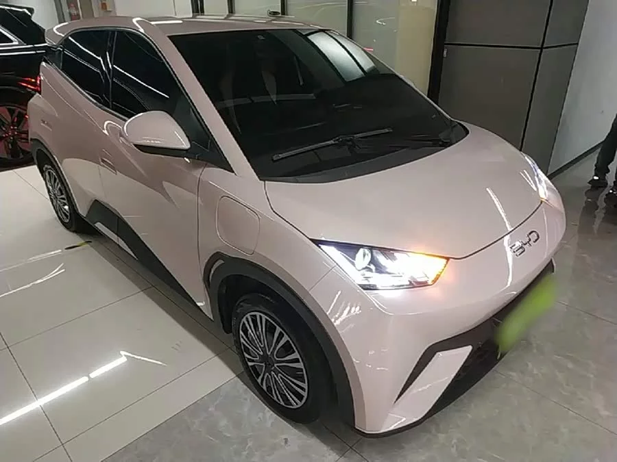 BYD Seagull