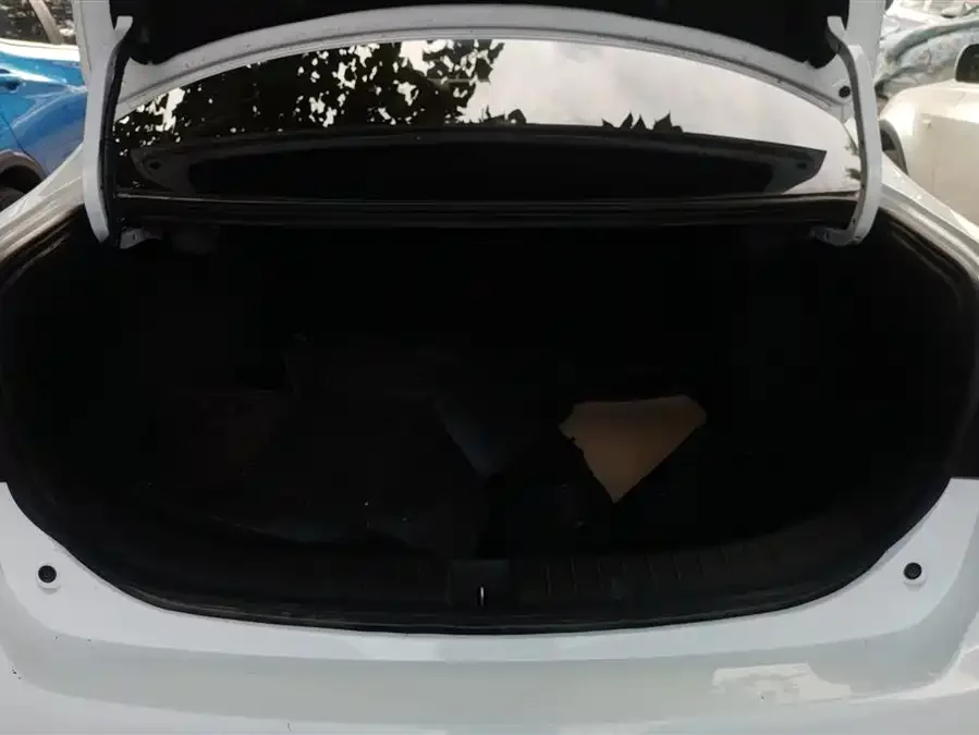 BYD Qin New Energy