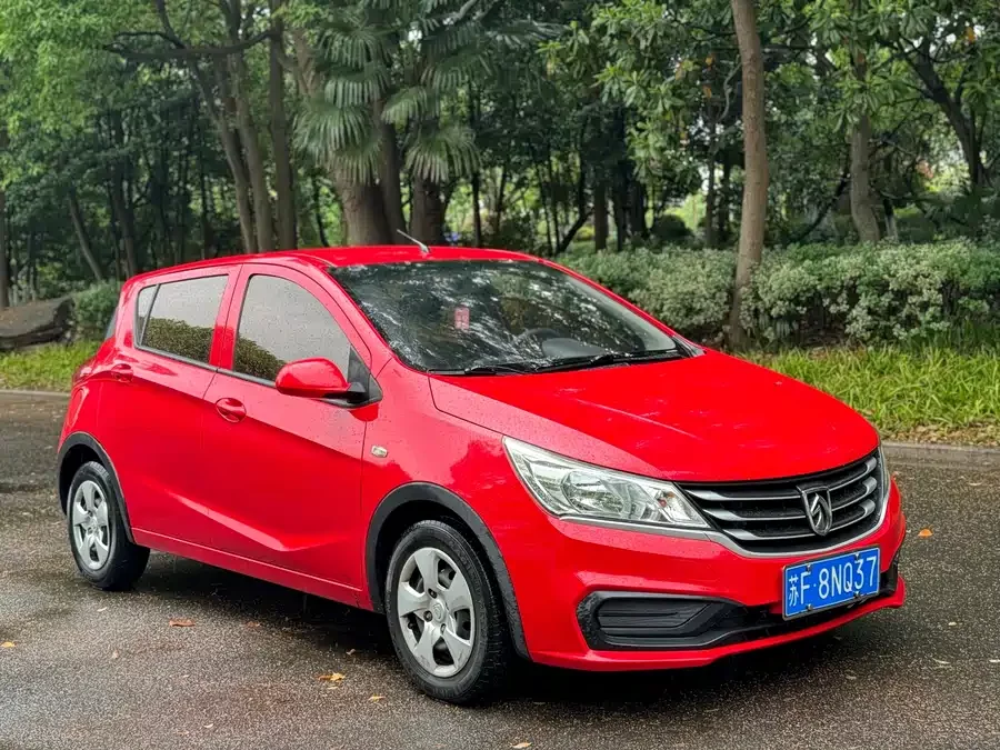 Baojun 310