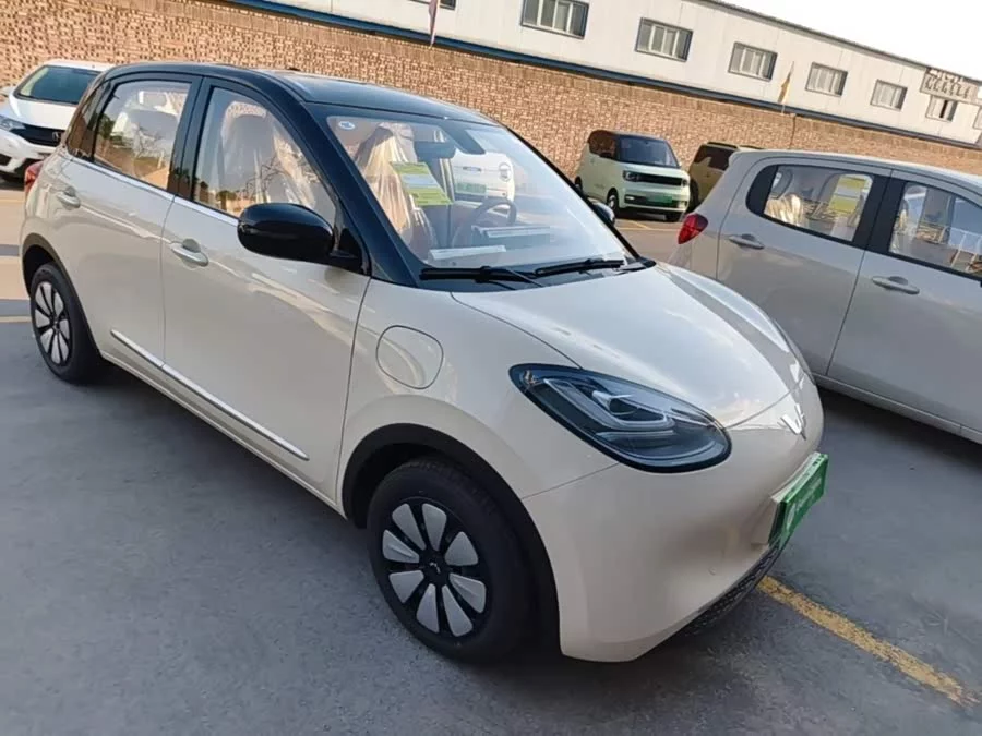 Wuling Bingo
